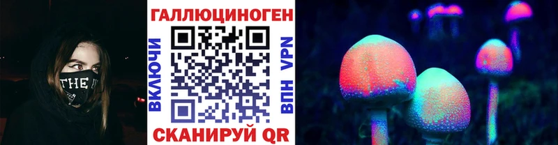 где можно купить   Глазов  Галлюциногенные грибы Psilocybine cubensis 